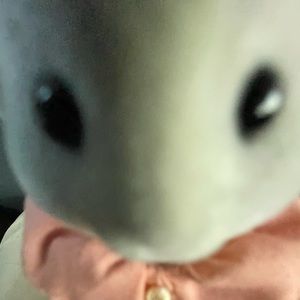 Meet your Posher, ɢ0ʀ3ᴘʜ0ʙ1ᴄ